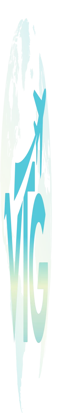 Vacations To Go Tourism