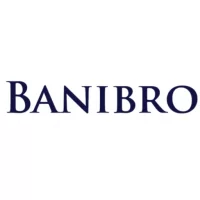 Banibro IT Solutions logo