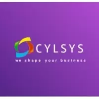 cylsys Software Solution Pvt. Ltd.