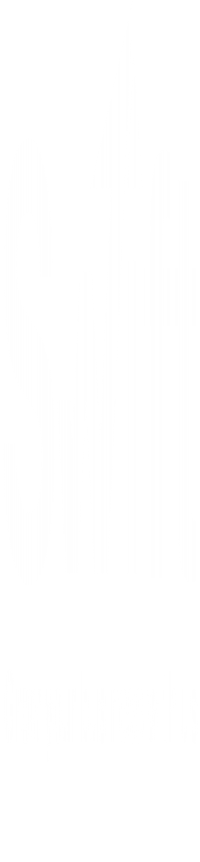 Swift Audit