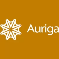Auirga Consultants