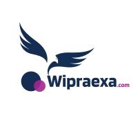 Wipraexa.com