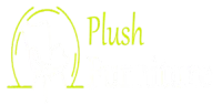 Plush Furniture
