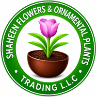 Shaheen Flowers and Ornamental Plants Trading LLC