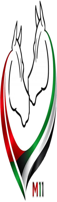 M11 Equestrian Club