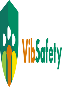 Vibsafety LMS