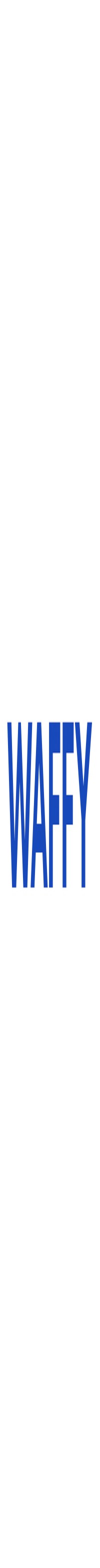 Waffy Financial Technology Company