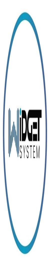 Widget System