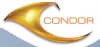 Condor Building Contracting Company LLC