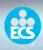 ECS Global Wire & Cables