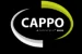 CAPPO QATAR LLC