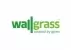 Wallgrass