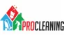 pro cleaning ae