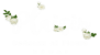 Plaisir Cadeaux et Fleurs