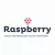 Raspberry IT Services